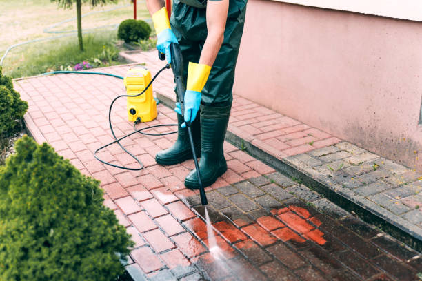 Trusted Falkville, AL Pressure Washing Services Experts